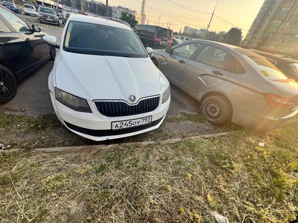Skoda Octavia 2014, фото 23