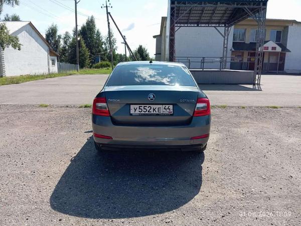 Skoda Octavia 2019, фото 3