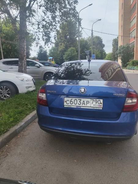 Skoda Rapid 2019, фото 2