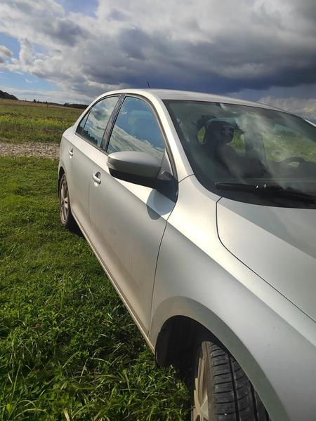 Skoda Rapid 2017, фото 7
