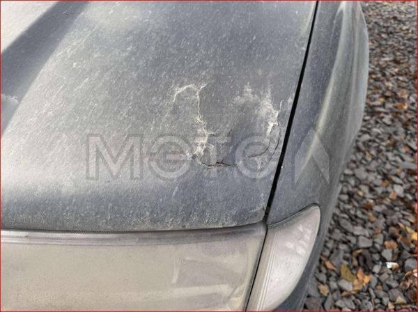 Skoda Не указана 2009, фото 7