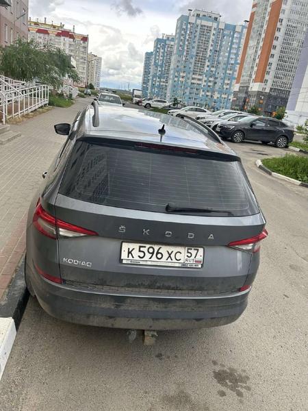 Skoda Kodiaq 2019, фото 2