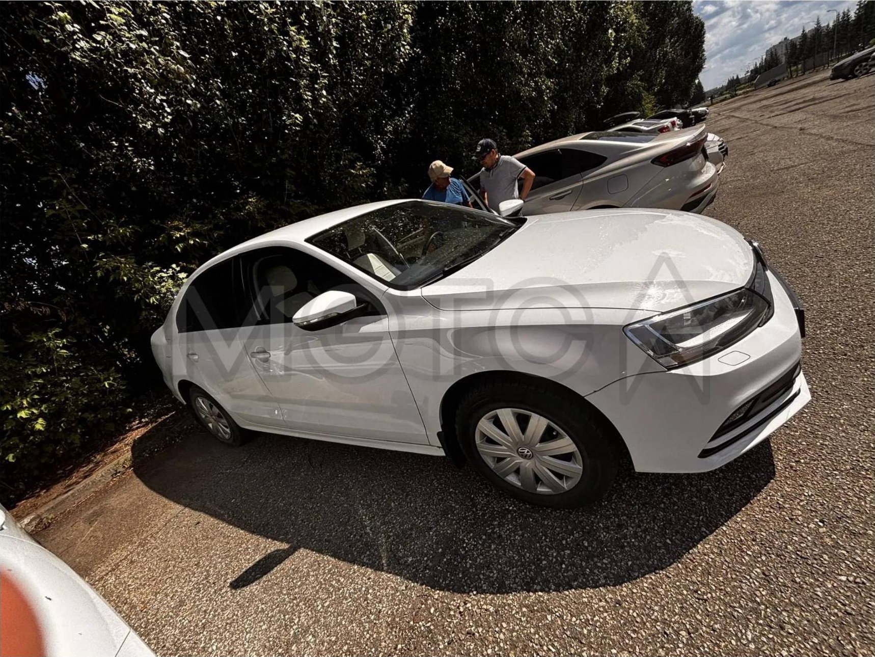 Volkswagen Jetta