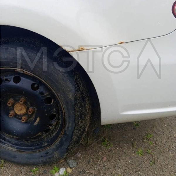 Volkswagen Не указана 2012, фото 10