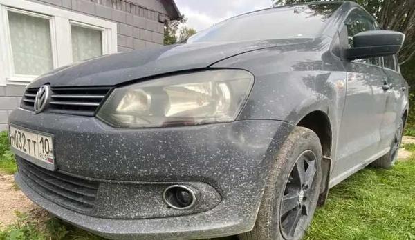 Volkswagen Polo 2013, фото 3