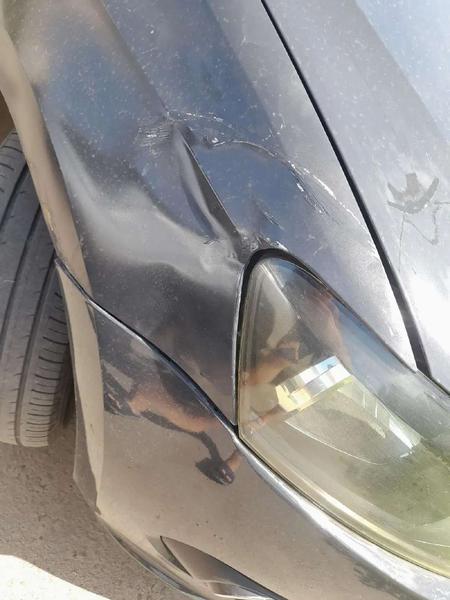 Volkswagen Polo 2015, фото 35