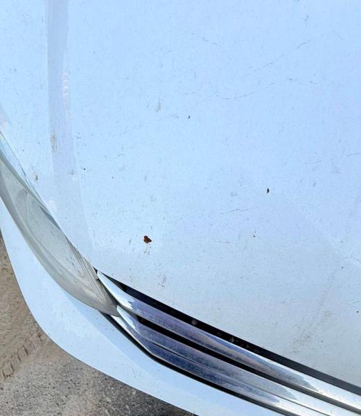 Volkswagen Polo 2019, фото 26