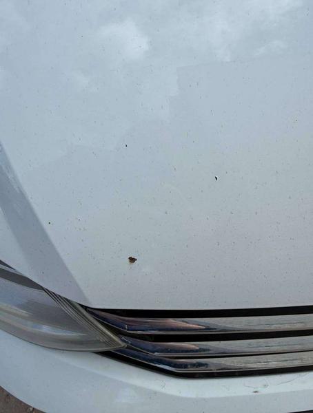Volkswagen Polo 2019, фото 23