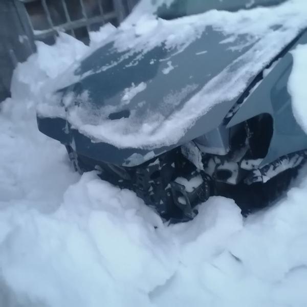 Volkswagen Polo 2019, фото 2