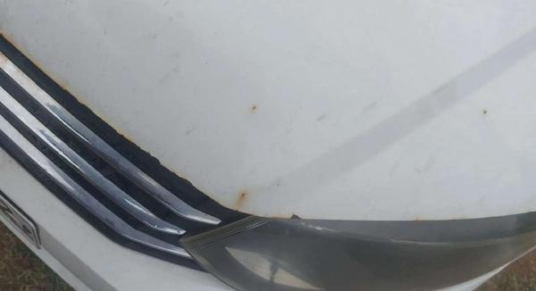 Volkswagen Polo 2019, фото 4