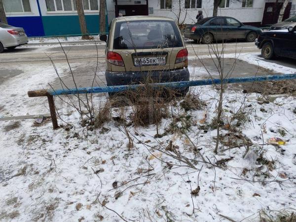 Daewoo Не указана 2011, фото 4