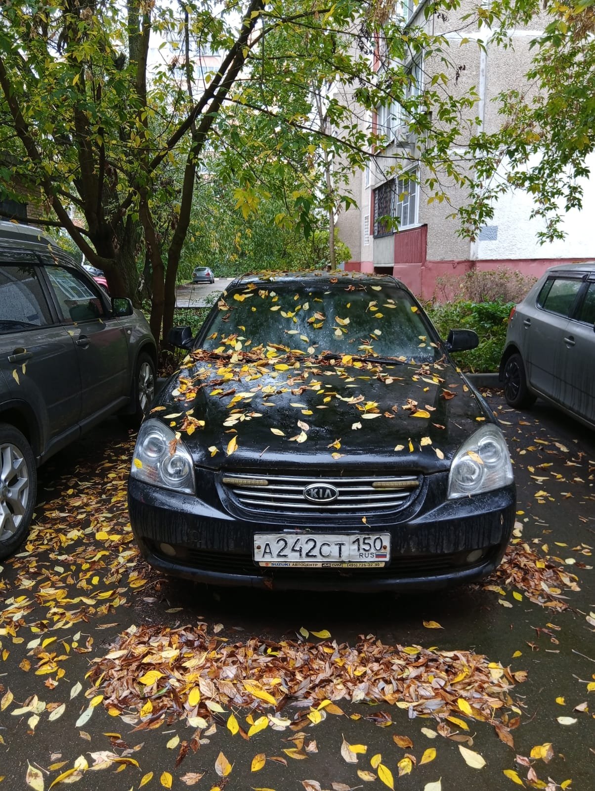 Kia Magentis