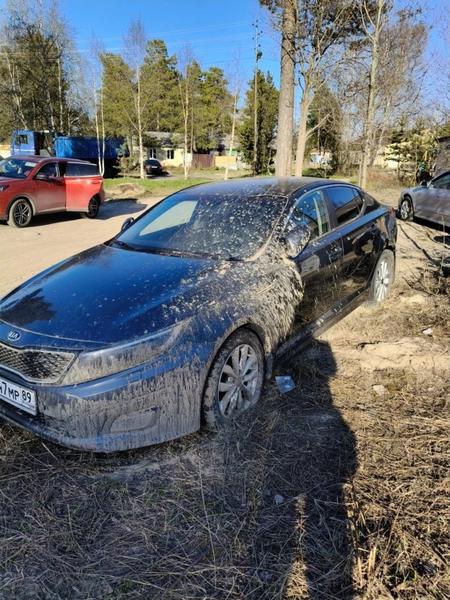 Kia Optima 2014, фото 2