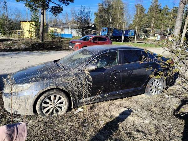 Kia Optima 2014, фото 22
