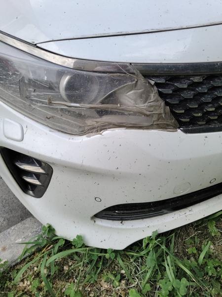 Kia Optima 2017, фото 2