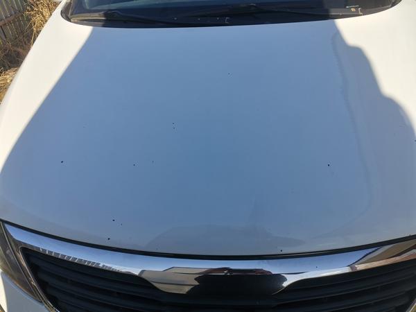 Kia Sportage 2013, фото 5