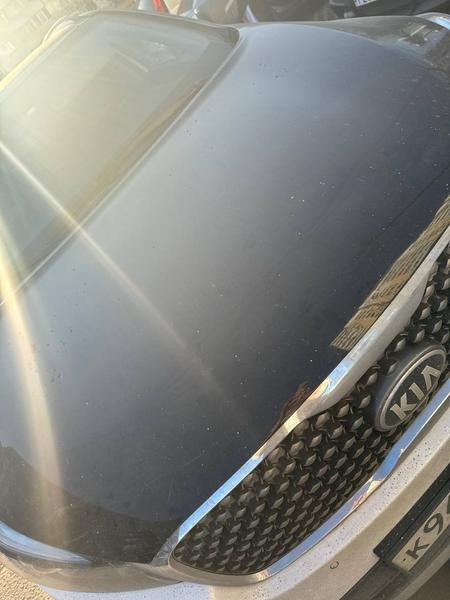 Kia Sorento 2016, фото 9