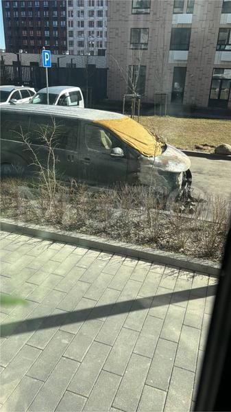 Фон
