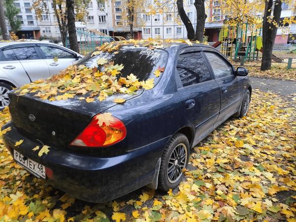 Kia Spectra 2009, фото 2