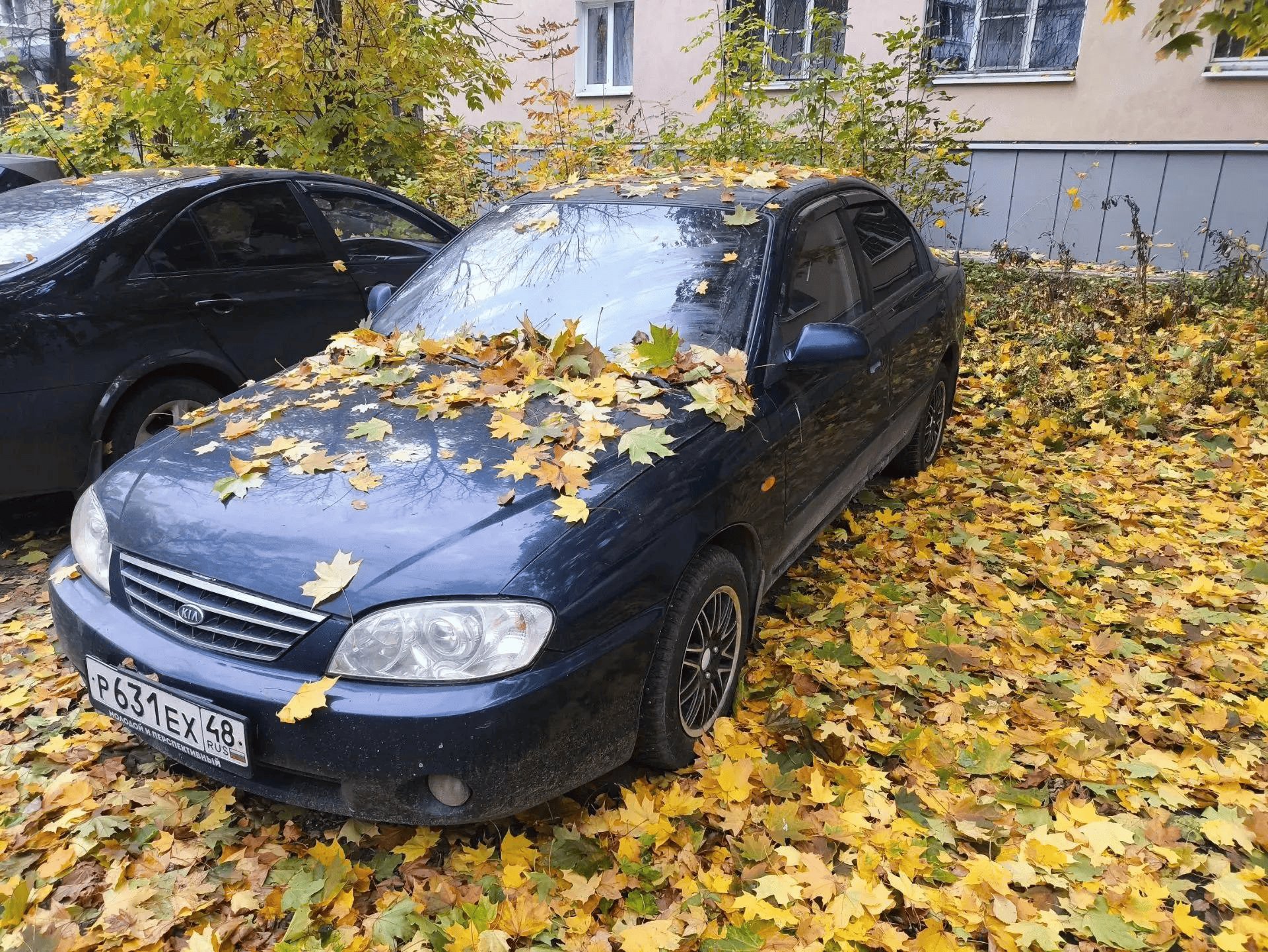 Kia Spectra