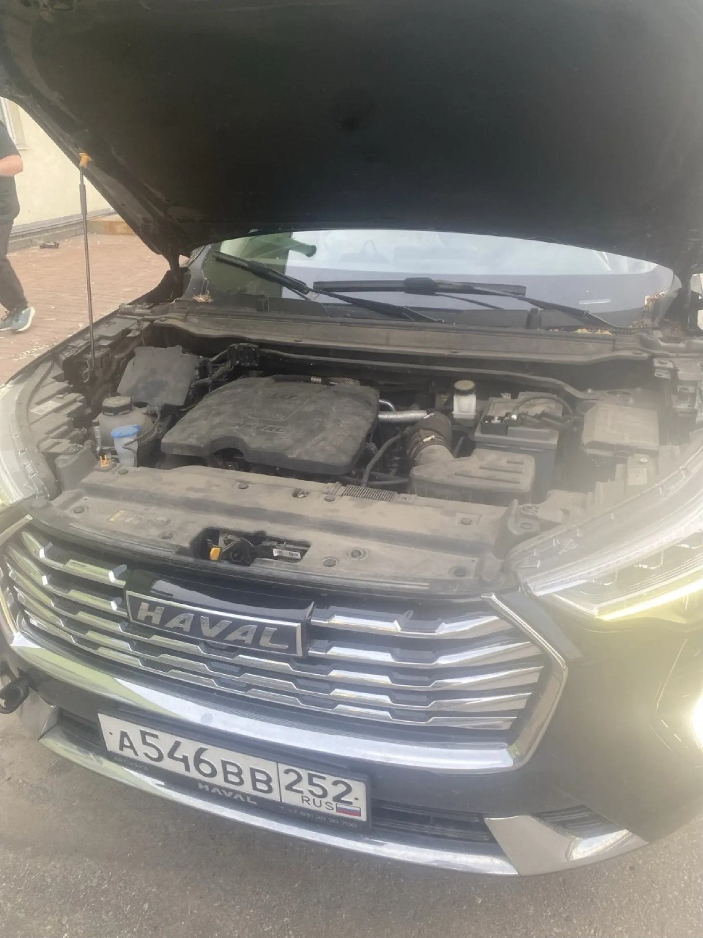 Haval Jolion
