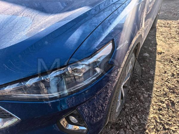 Haval F7x 2022, фото 3