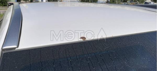 Geely Atlas Pro 2023, фото 12