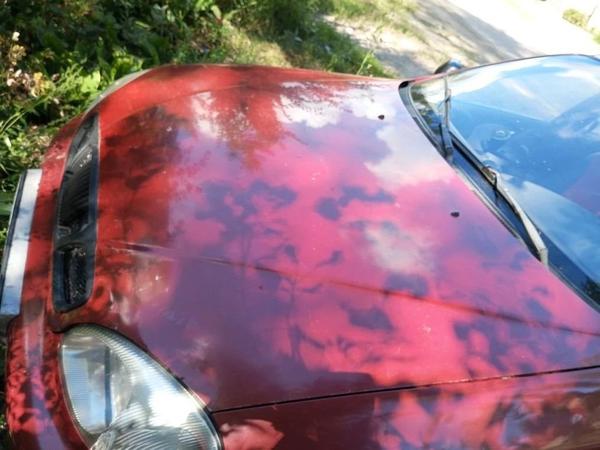 Chevrolet Lanos 2006, фото 2