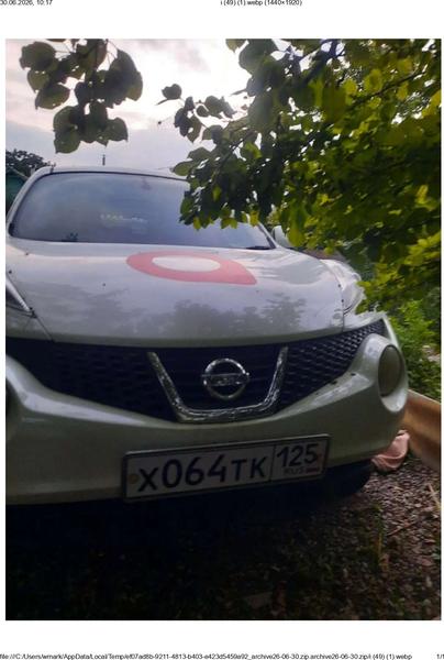 Nissan Juke 2010, фото 5