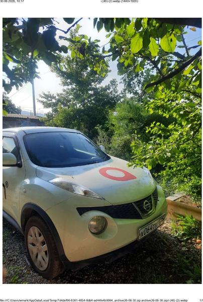 Nissan Juke 2010, фото 2