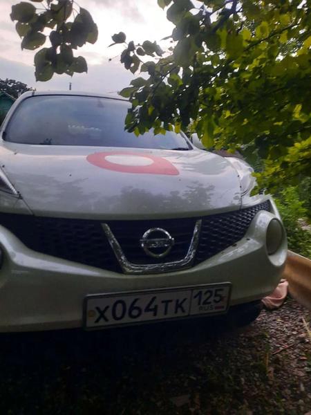 Nissan Juke 2010, фото 16
