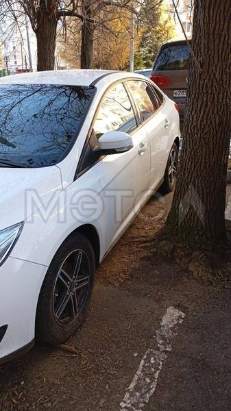 Ford Focus 2019, фото 3