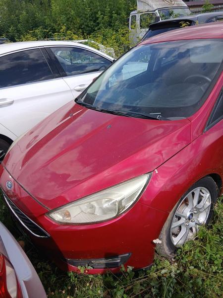 Ford Focus 2015, фото 2