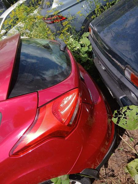Ford Focus 2015, фото 7