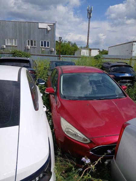 Ford Focus 2015, фото 3