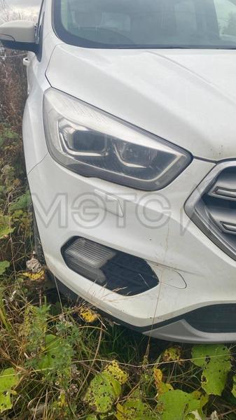 Ford Kuga 2018, фото 2