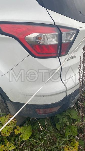 Ford Kuga 2018, фото 4