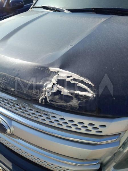Ford Explorer 2013, фото 3