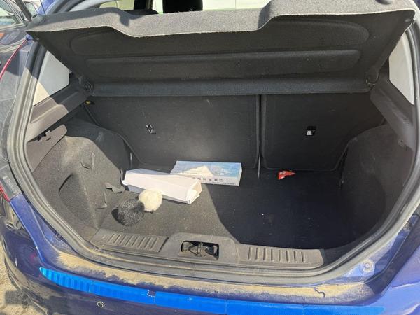 Ford Fiesta 2016, фото 14