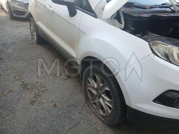 Ford EcoSport 2015, фото 16