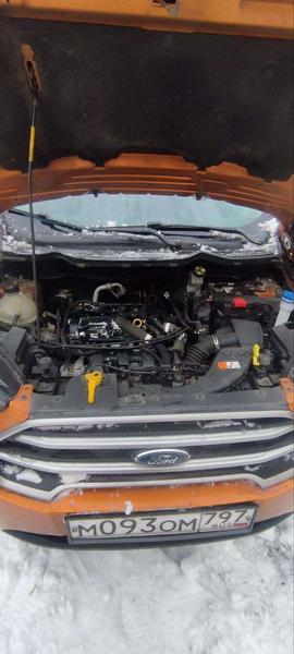Ford EcoSport 2018, фото 15