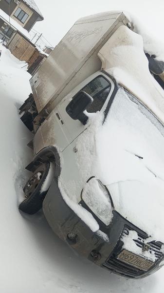 ГАЗ Не указана 2019, фото 5