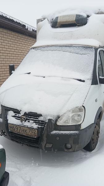 ГАЗ Не указана 2019, фото 4