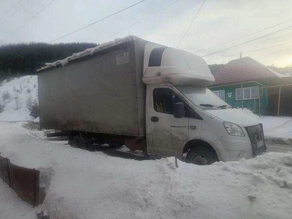 ГАЗ Не указана 2018, фото 4