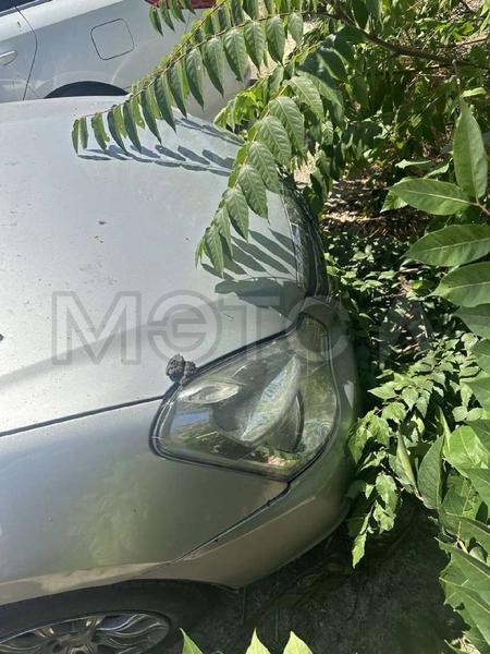 Nissan Almera 2014, фото 10