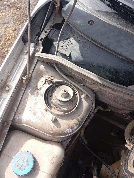 Datsun Не указана 2019, фото 5
