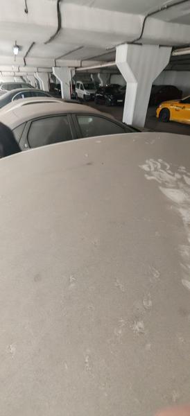 Nissan Sentra 2015, фото 13