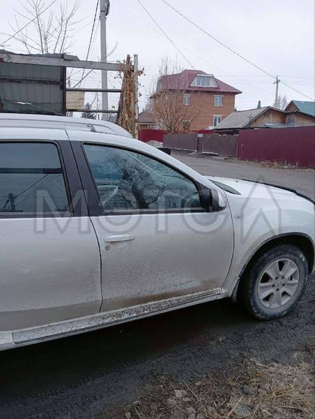 Nissan Terrano 2014, фото 2