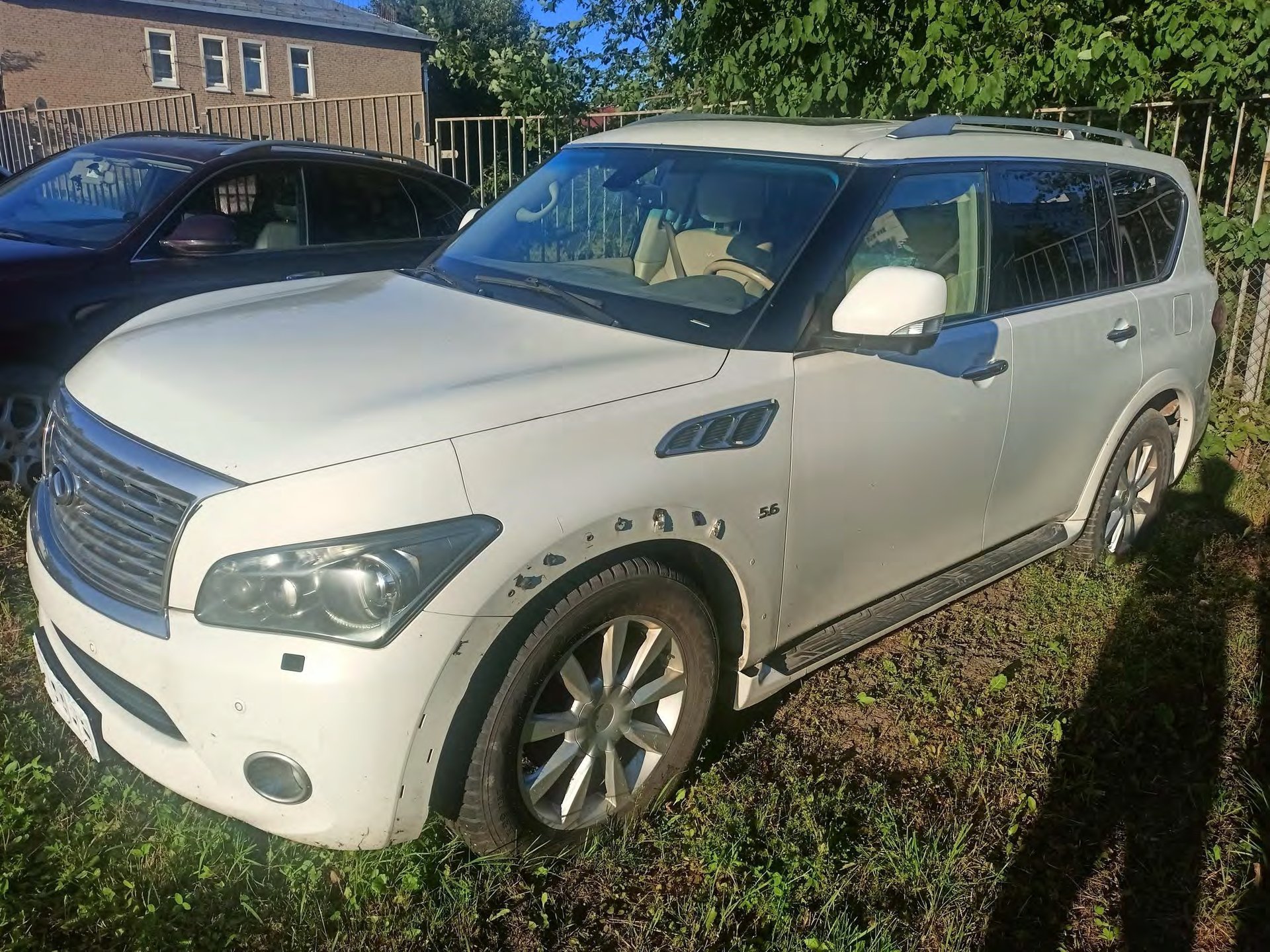 Infiniti QX80