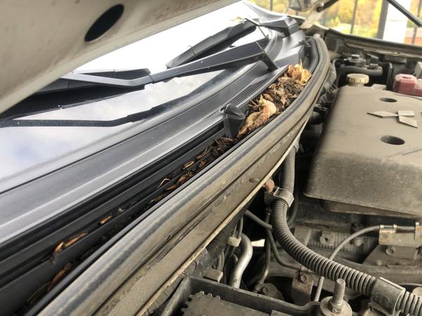 Mitsubishi Pajero Sport 2019, фото 68